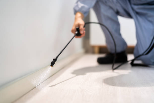 Bed Bug Pre-Treatment Preparation Assessment in Crozet