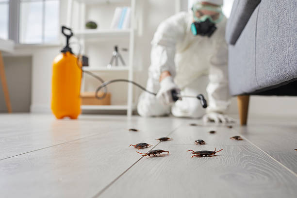 Post-Treatment Bed Bug Interceptor Monitoring in Crozet