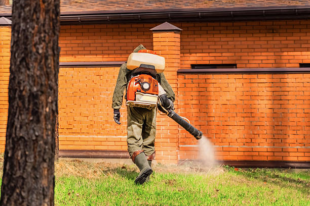 Bed Bug Clearance Verification and Documentation in Crozet